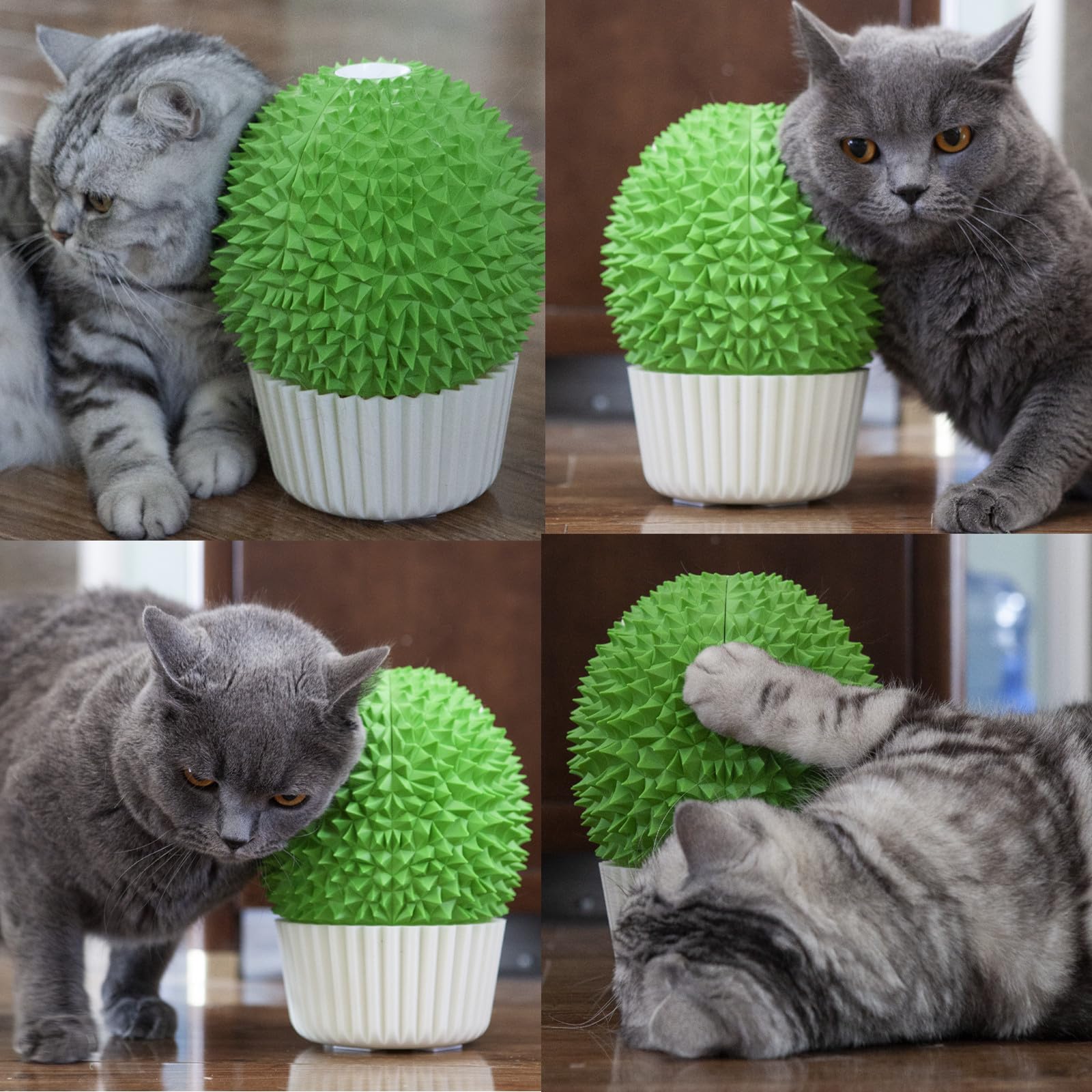 Miwoowim brosse toilettage douce: toucher doux pour le chat.