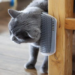 Brosse murale Miwoowim, longueur étendue 6,1 po pour atteindre zones difficiles.