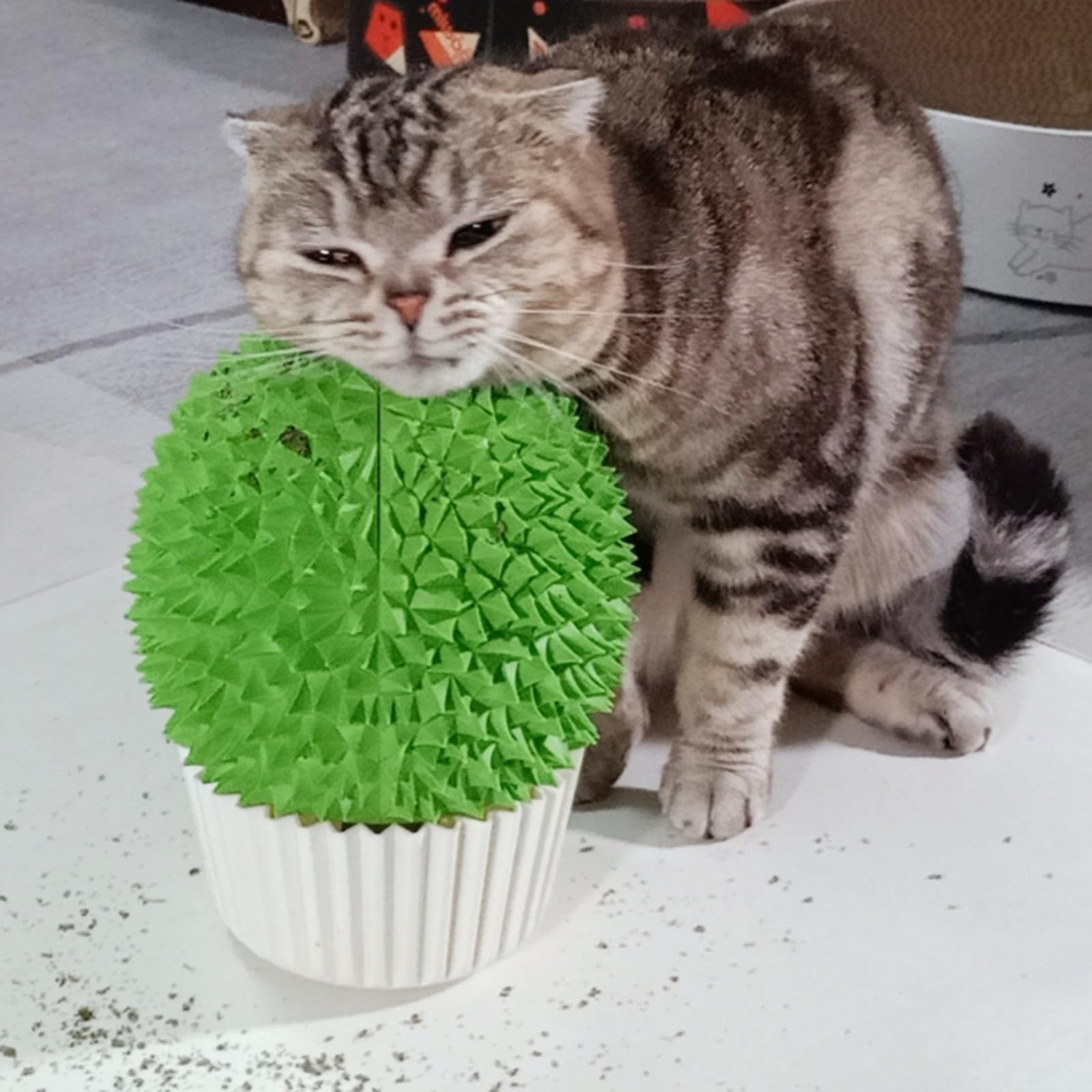 Miwoowim distributeur herbe-chat pot durian: stimule le jeu et le toilettage.