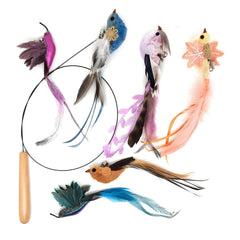 Miwoowim oiseaux-plumes artisanales six couleurs pour variété de jeu.