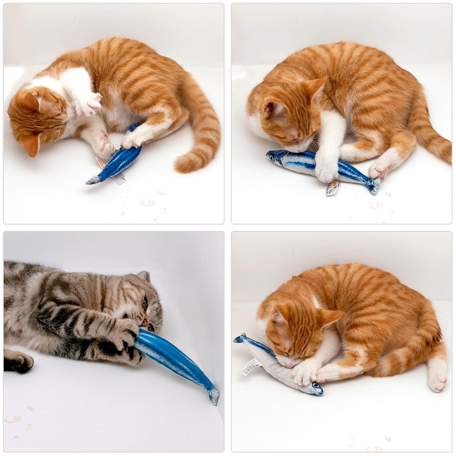 Miwoowim poisson-chat-stimulation-activité-physique: aide à l'exercice et à l'évasion du stress.