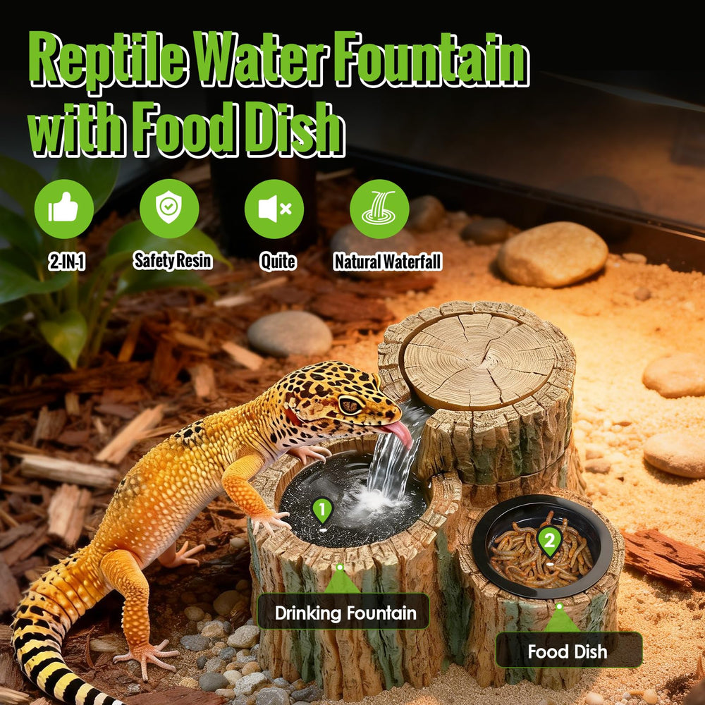 MIXJOY fontaine reptile cascade-eau attire les reptiles pour boire régulièrement