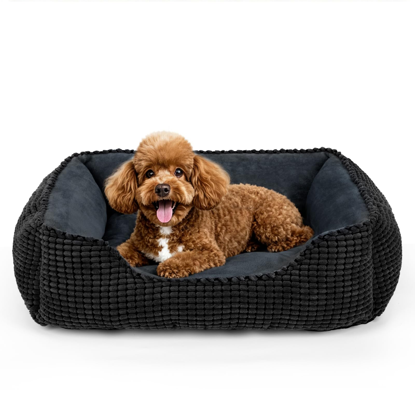 MIXJOY lit chien rectangulaire lavable offrant confort immédiat pour petits chiens