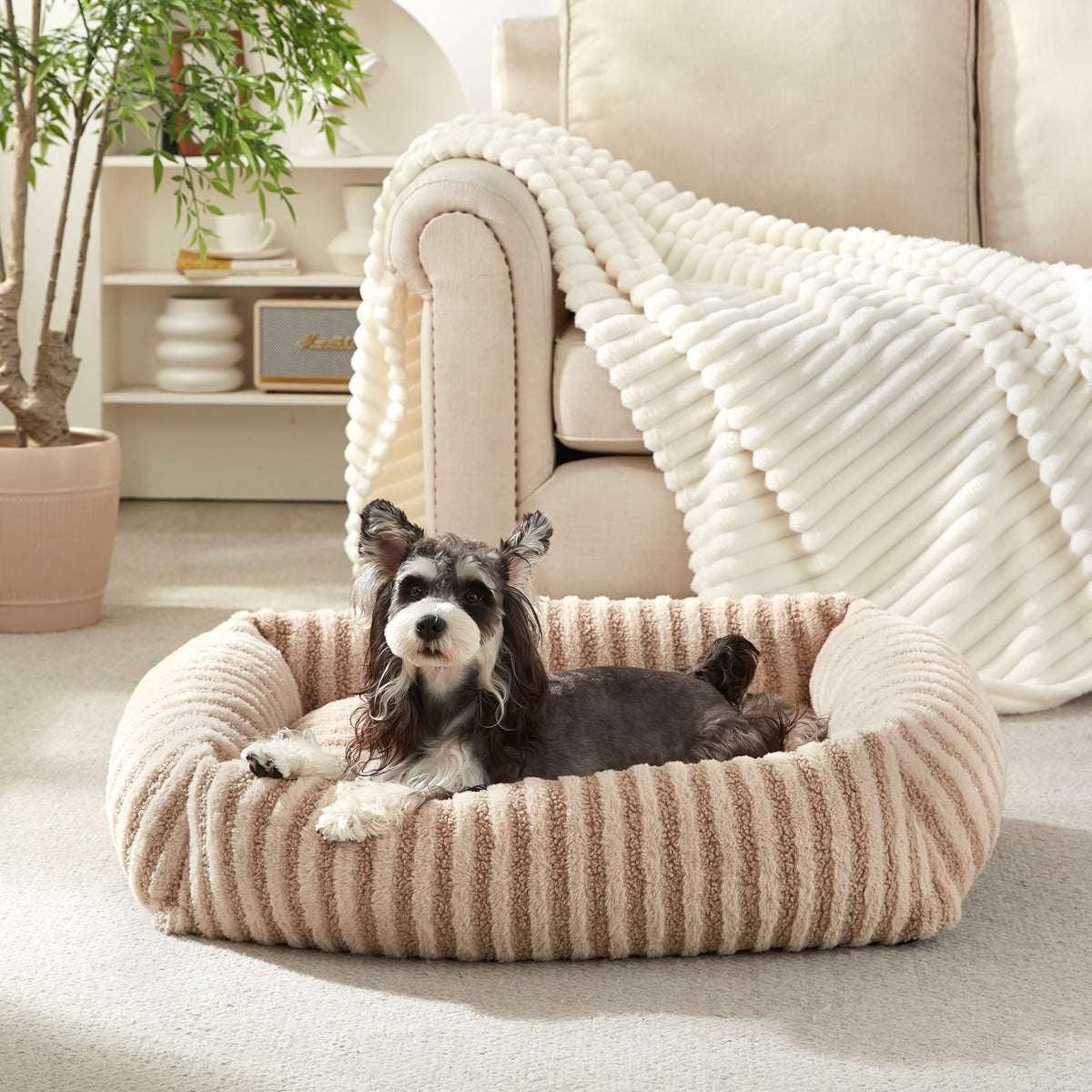 MIXJOY Panier pour petits chiens et chats, douceur enveloppante pour les siestes.