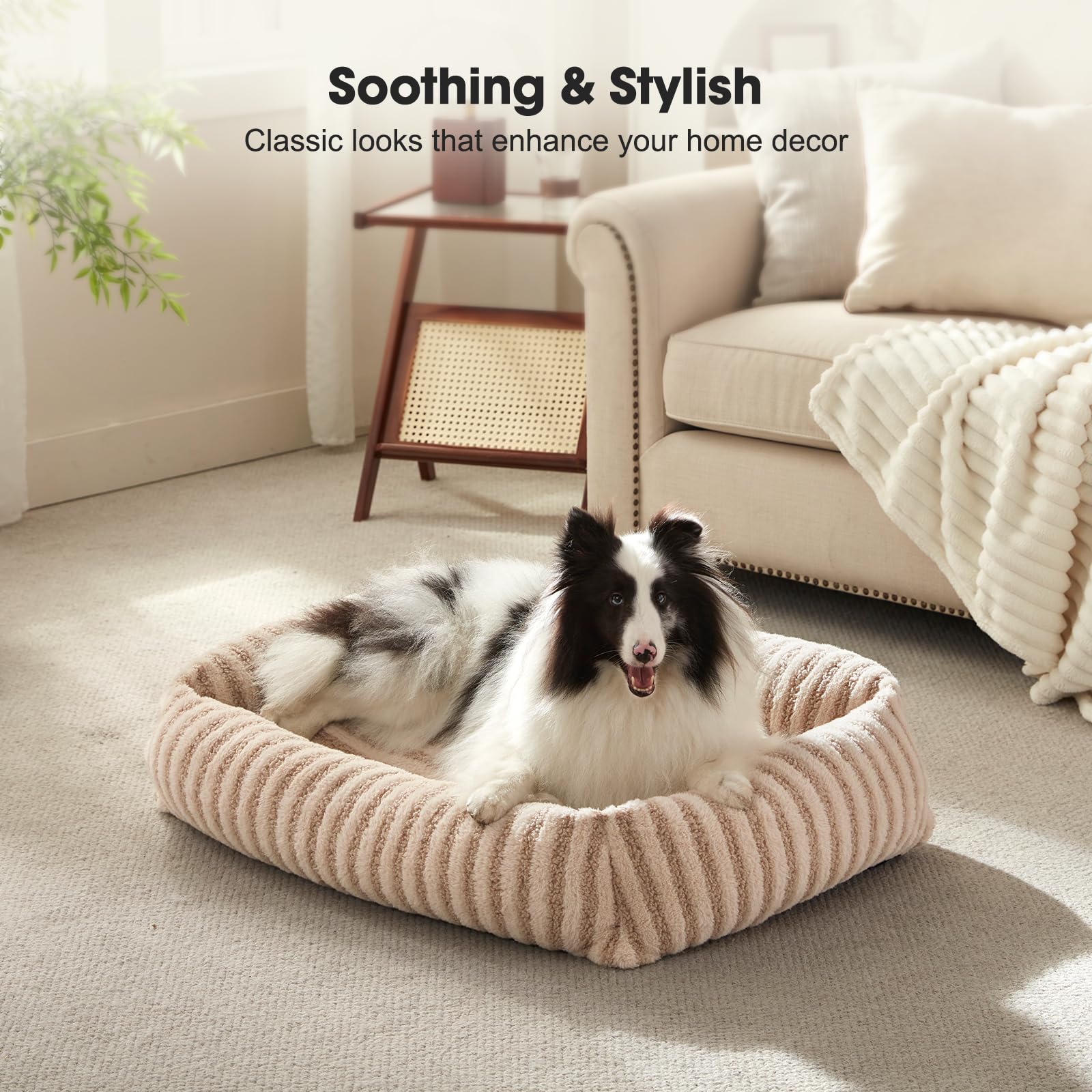 MIXJOY Taille petit idéale pour chiots et chats.