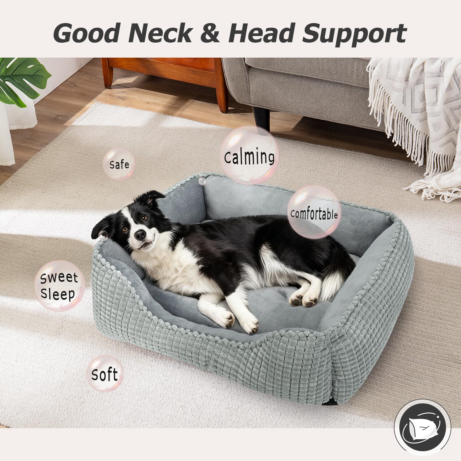 Tailles variées MIXJOY adaptées aux petits, moyens et grands chiens.
