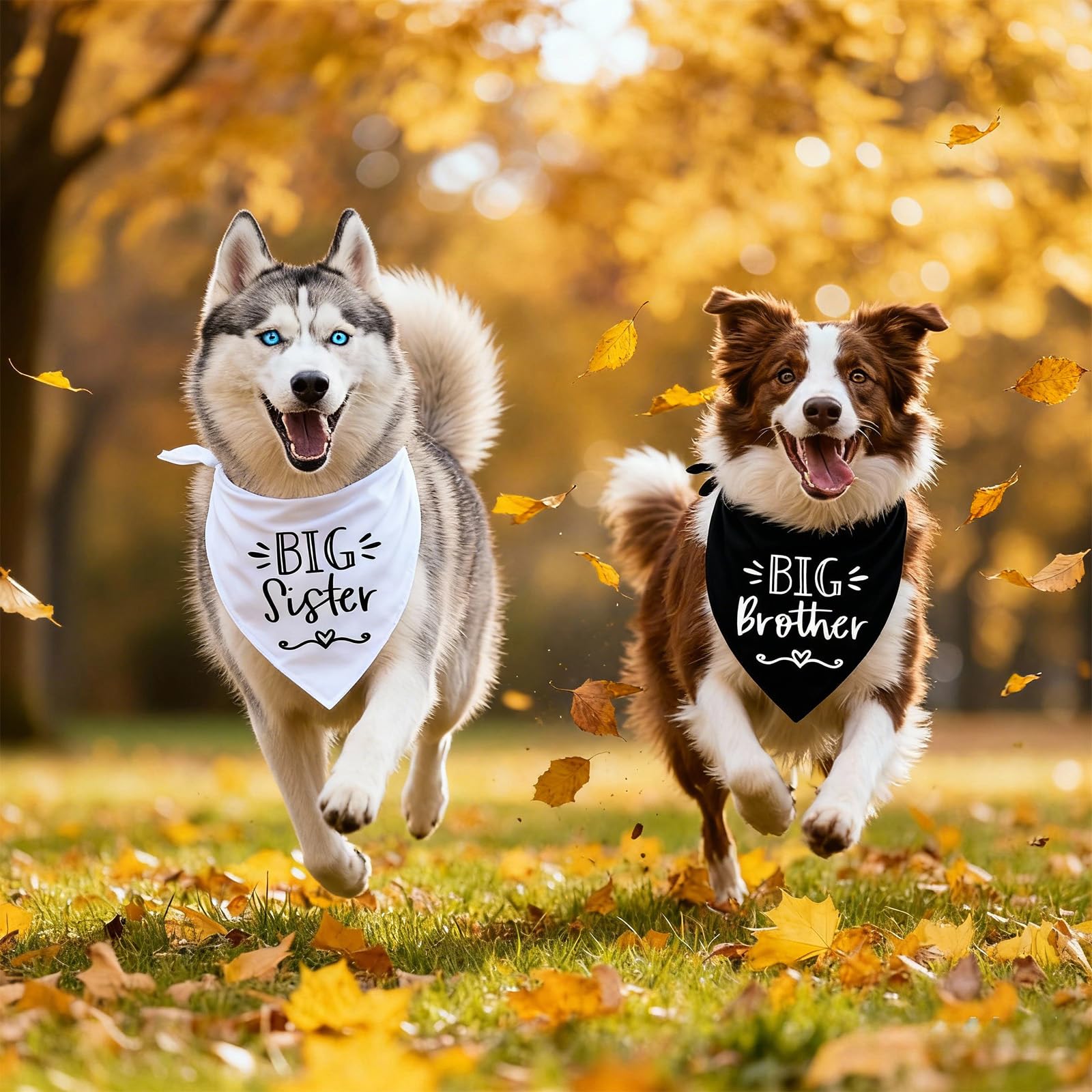 Bandana Mixrowa – cadeau idéal pour occasions spéciales avec chien.