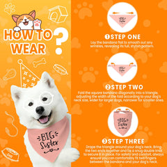 Bandana Mixrowa pour chien: toile durable résistant à l'usure, idéal pour les balades.
