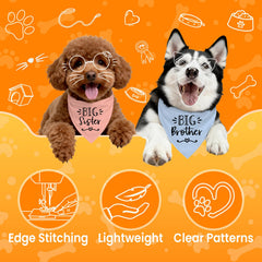 Bandana Mixrowa pour chien: triangle doux pour le confort quotidien.