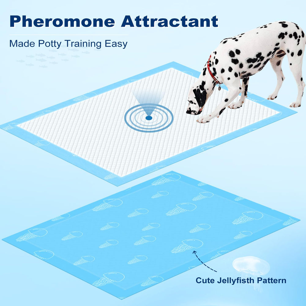 MIZOK pheromone-attractante guide naturellement le chien vers la pad.