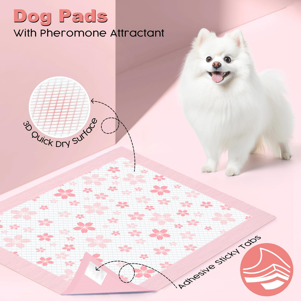 Emballage discret Mizok en boîte couleur pratique à ranger.