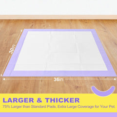 Onglets adhésifs Mizok fixent les tapis sur canapé et murs intérieurs.
