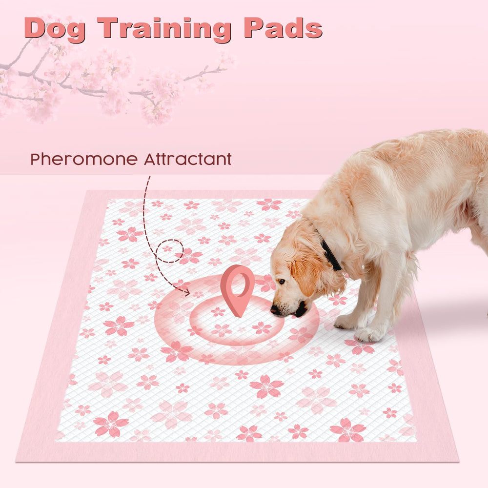 MIZOK tapis phéromone xl entraînement: attractif pour faciliter l'entraînement.