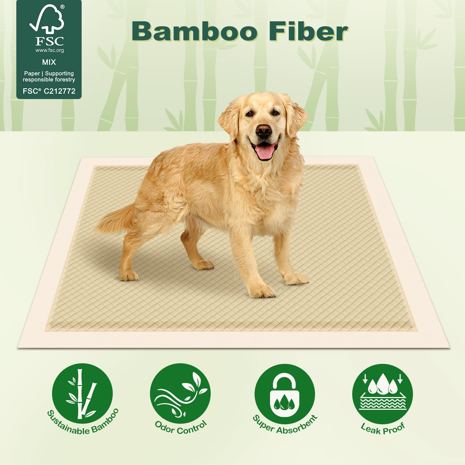MIZOK Tapis Pipi chien, coins adhésifs visibles pour sécuriser le tapis.