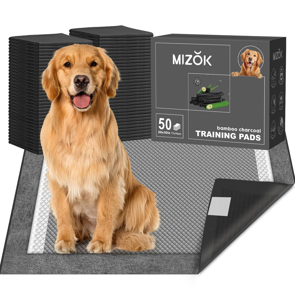 MIZOK tapis-pipi chien charbon 28x30 offre uncontrole des odeurs durable.