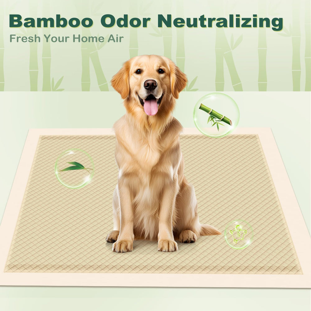 MIZOK Tapis Pipi 36x36, grande taille adaptée à plusieurs chiens.