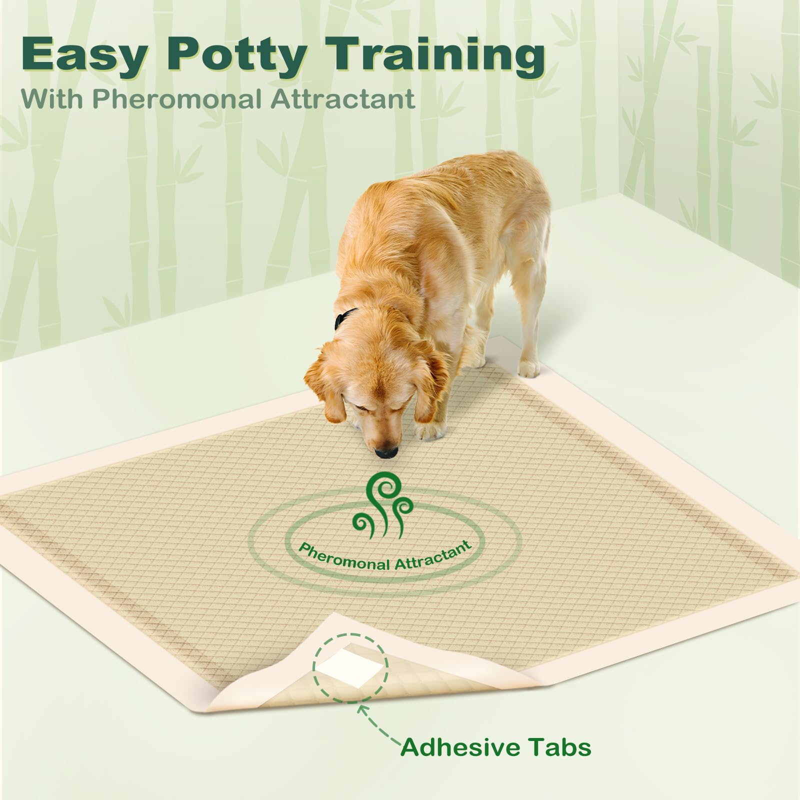 MIZOK Tapis Pipi, papier certifié FSC pour une option durable.