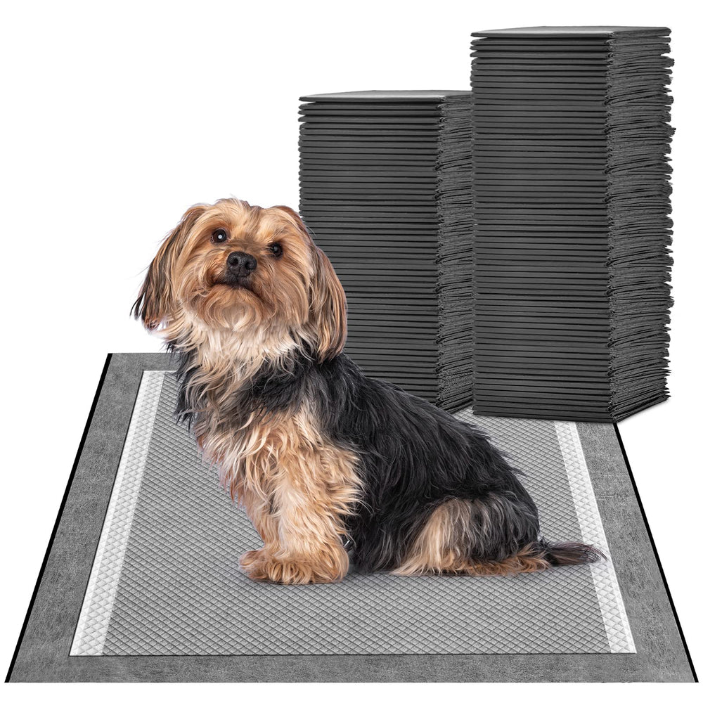 MIZOK tapis-pipi chiot 23x24 absorbant pour l'entraînement.