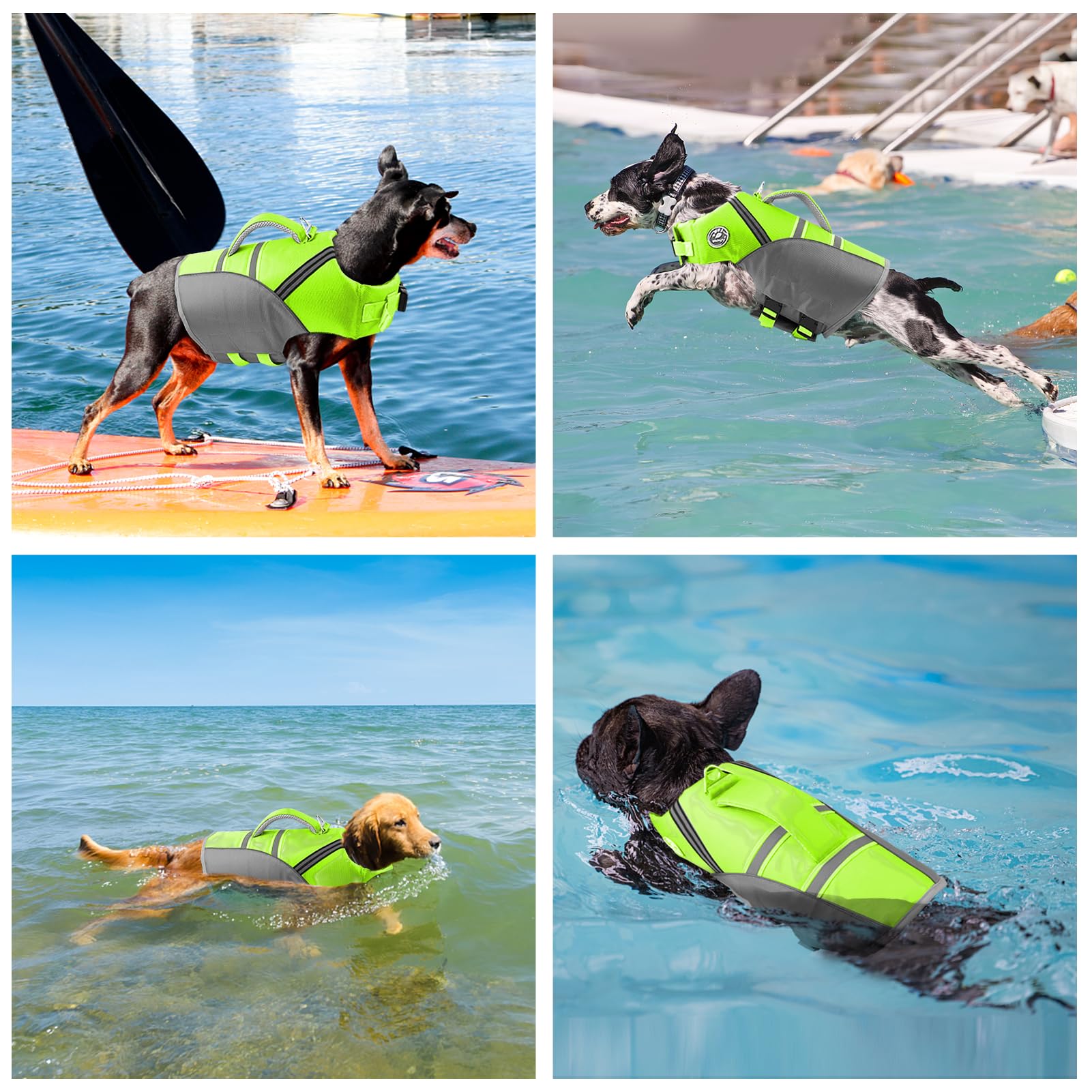 Mklhgty gilet chien en tissu robuste et couleurs vives pour la visibilité.