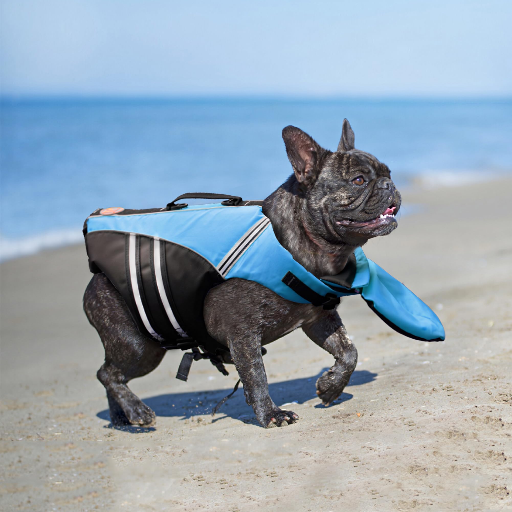 Mklhgty gilet securite couleurs vives: repérable dans l'eau et en sorties nautiques