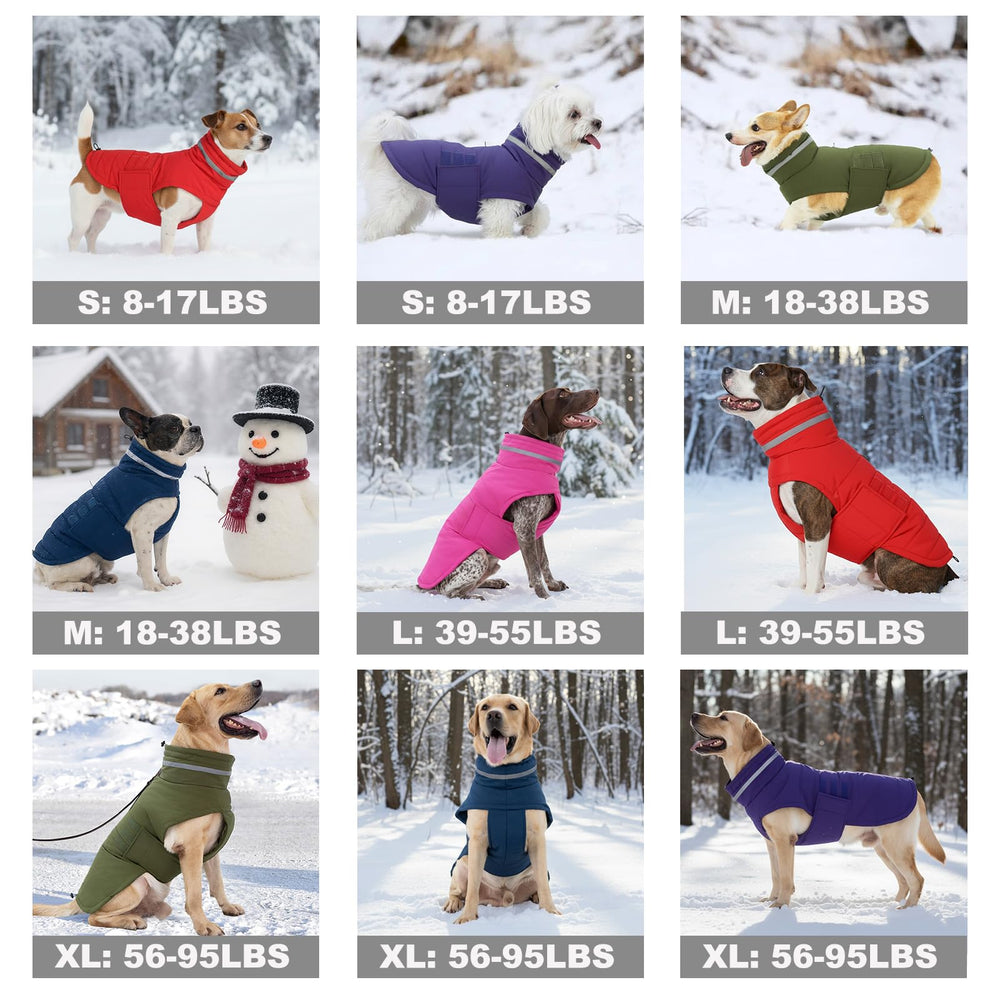 Mklhgty manteau chien col haut reglable bleu XL pour un ajustement confortable.