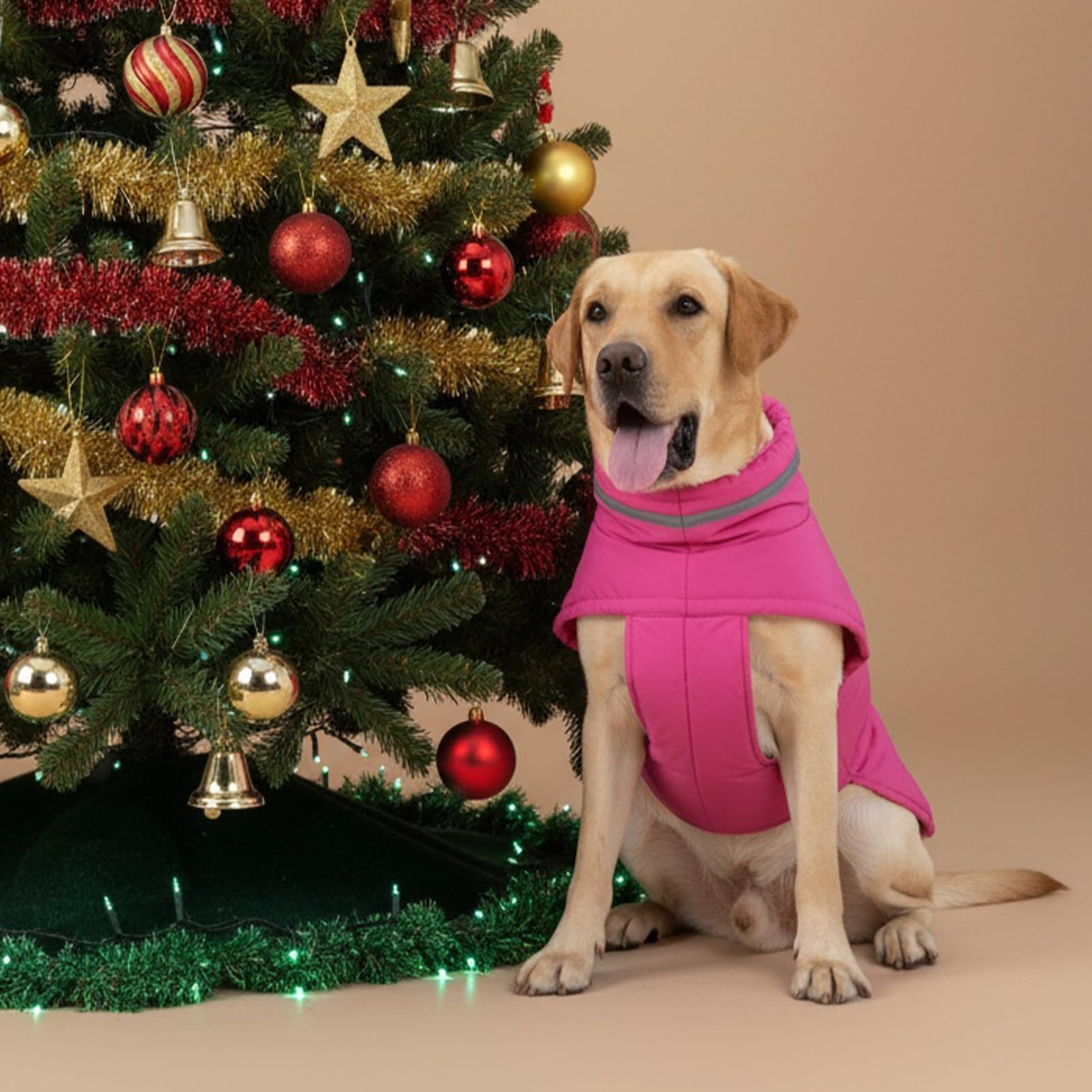 Mklhgty manteau chien design elegant rose xl balade quotidienne