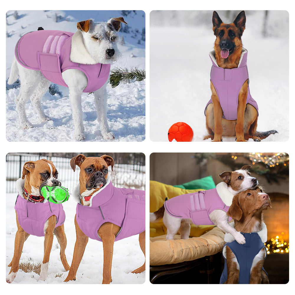 Mklhgty manteau chien douceur fleece: toucher doux pour le confort quotidien