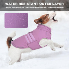 Mklhgty manteau chien fermeture velcro cou: ajustement rapide et confortable