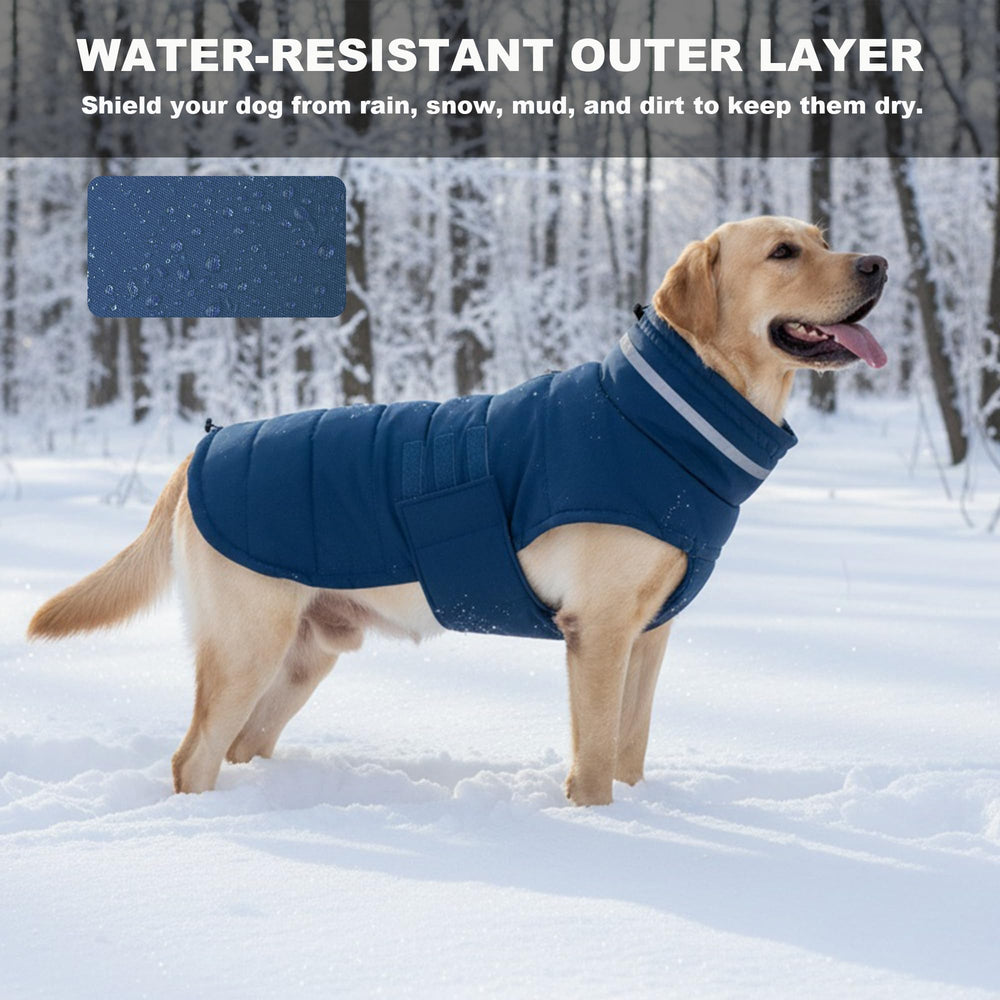 Mklhgty manteau chien fermeture velcro pratique bleu XL pour un habillage rapide.