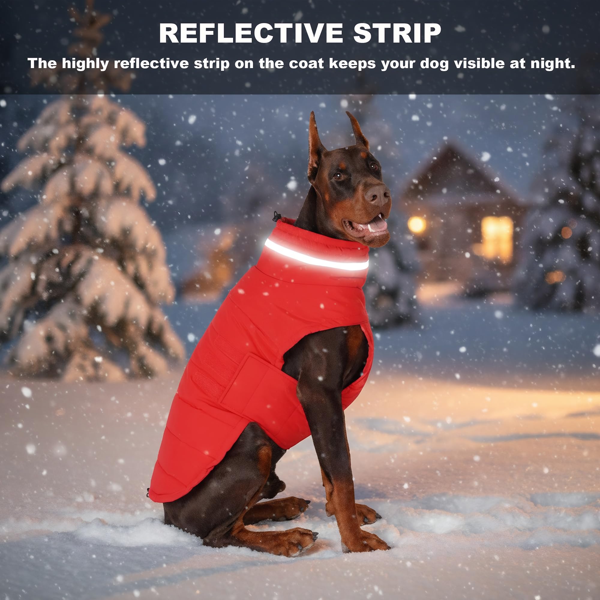Mklhgty manteau chien hiver-confort rouge XL, promenade hivernale
