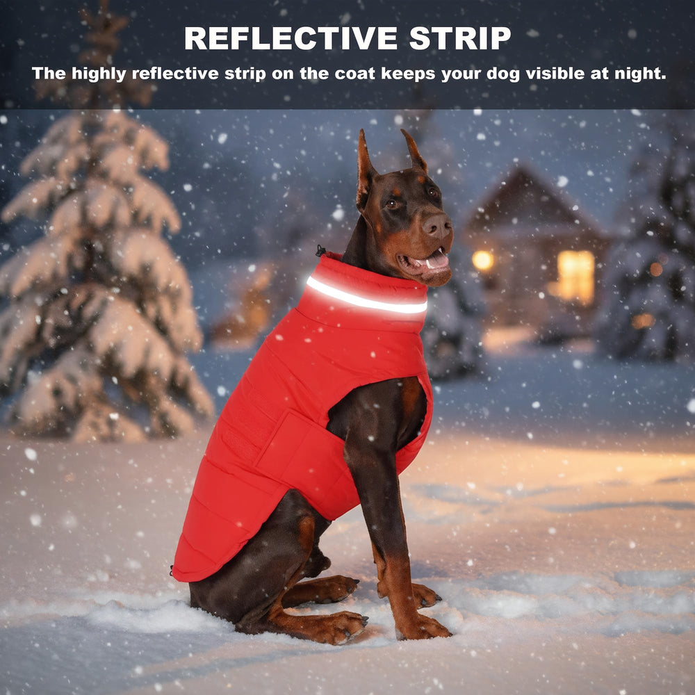 Mklhgty manteau chien hiver-confort rouge XL, promenade hivernale