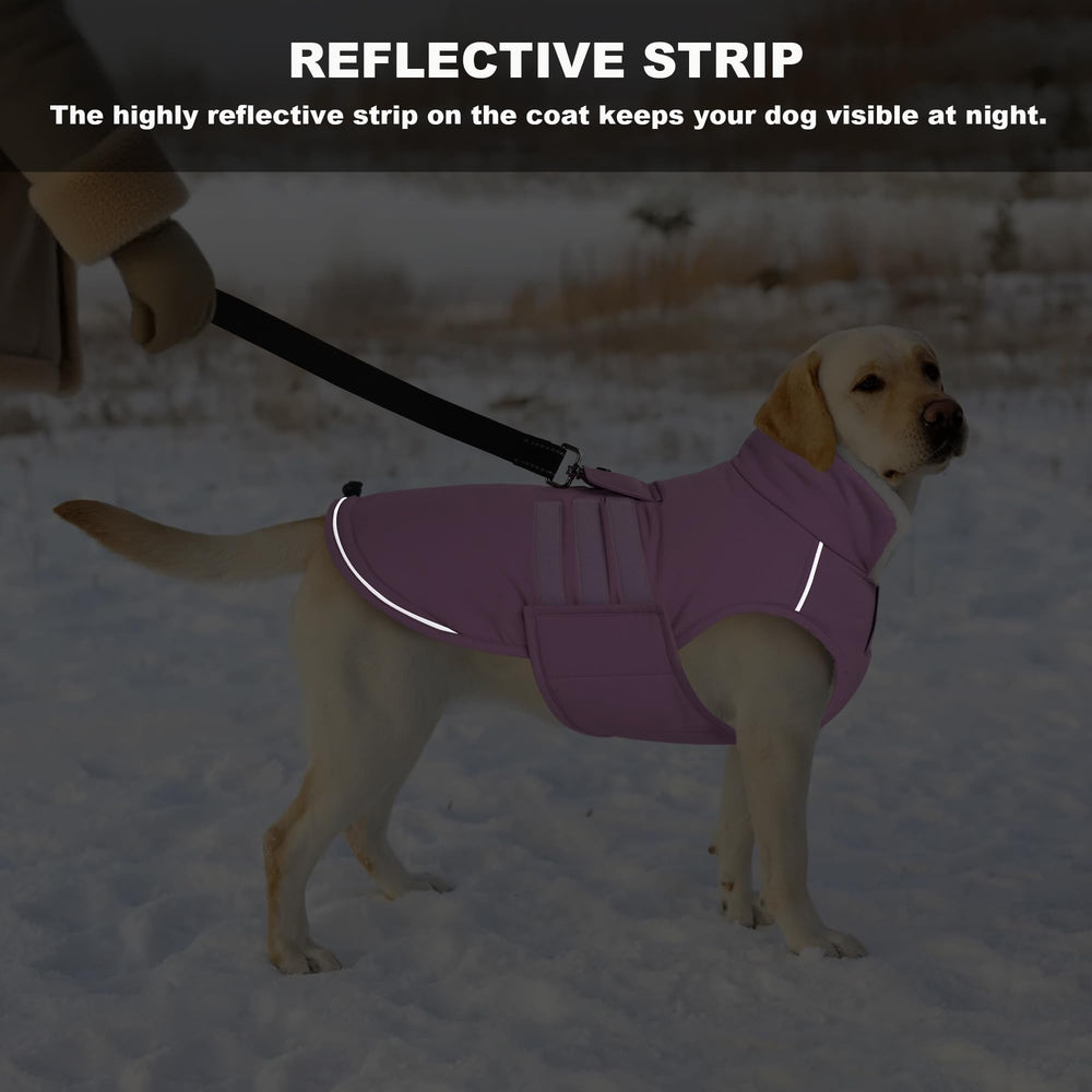 Mklhgty manteau chien hiver lilas, ouverture pour laisse sur l'arrière.