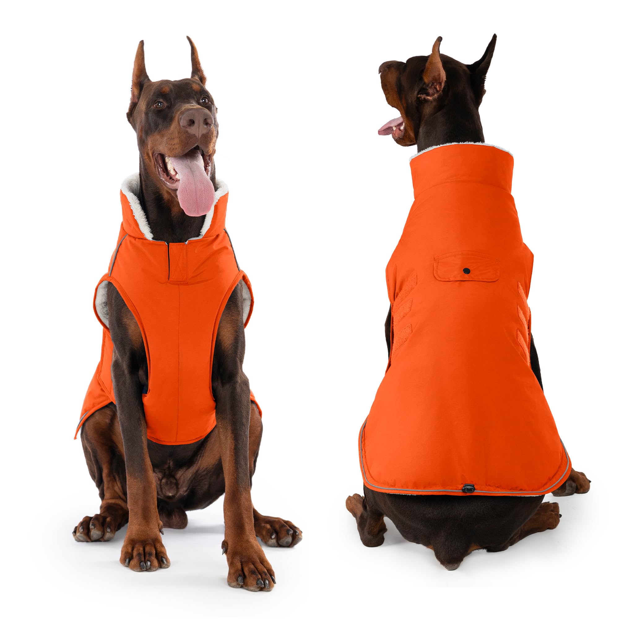 Disponible en taille L pour les chiens de grande taille.