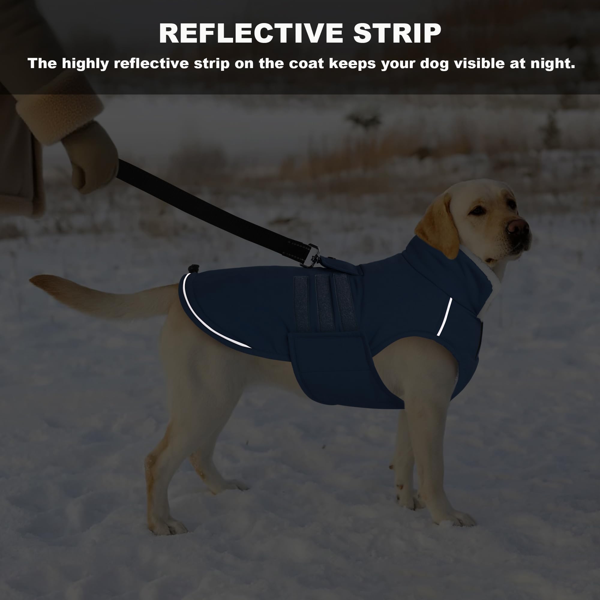 Mklhgty manteau chien hivernal fermeture velcro, enfiler rapidement sans stress.