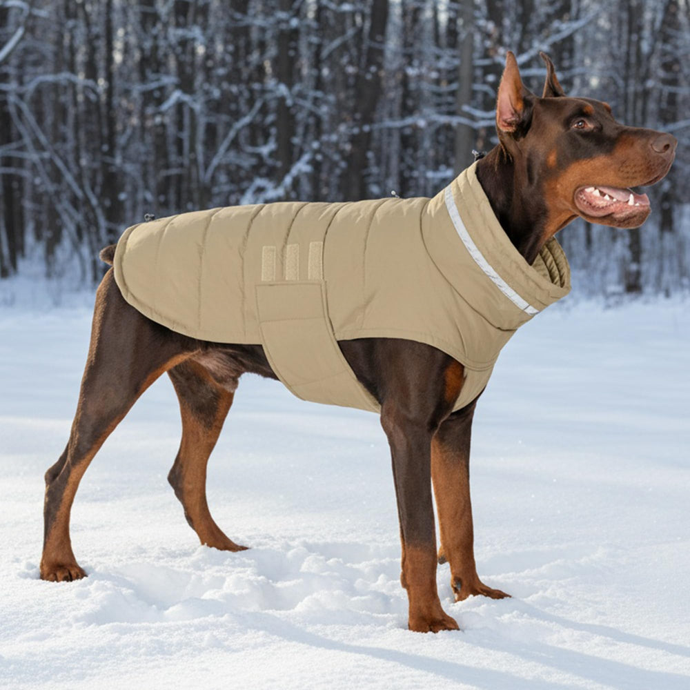 Mklhgty manteau chien imperméable khaki XL adapté aux grandes races comme le Labrador