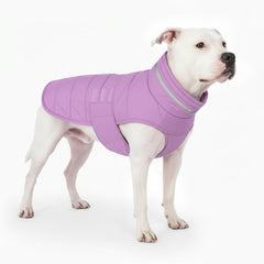 Mklhgty manteau imperméable pour chien lilas, chaleur hivernale lors des sorties pluvieuses