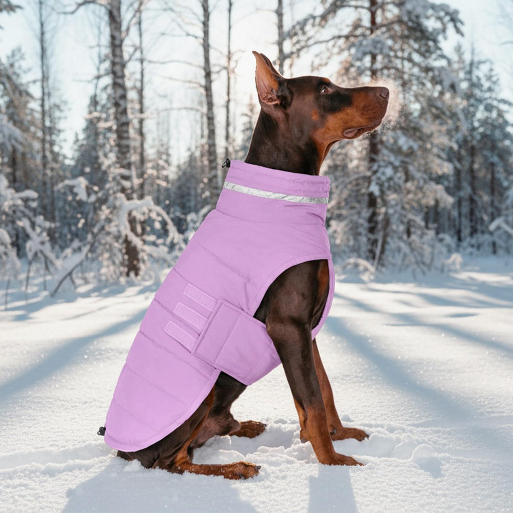 Mklhgty manteau lilas pour balades et aventures, idéal par temps froid