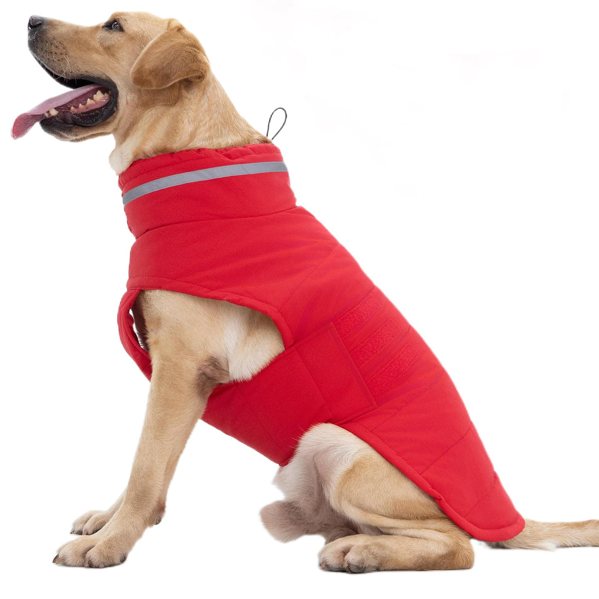 Chien portant le manteau Mklhgty imperméable rouge XL, chaleur hivernale