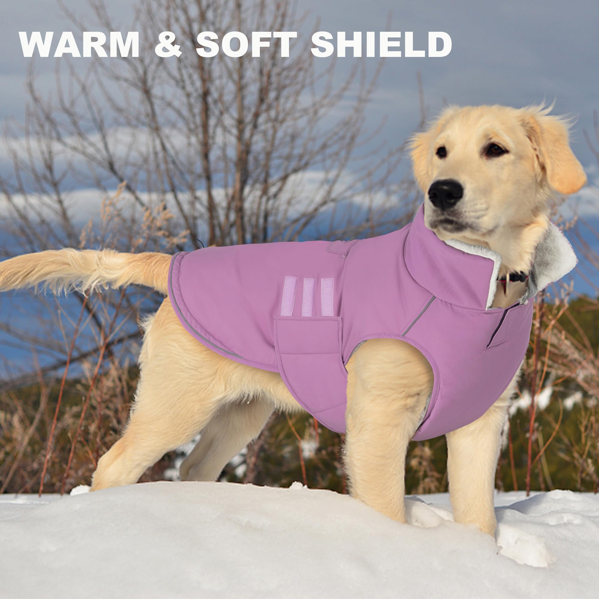 Mklhgty manteau chien noel halloween fetes: parfait pour les sorties festives