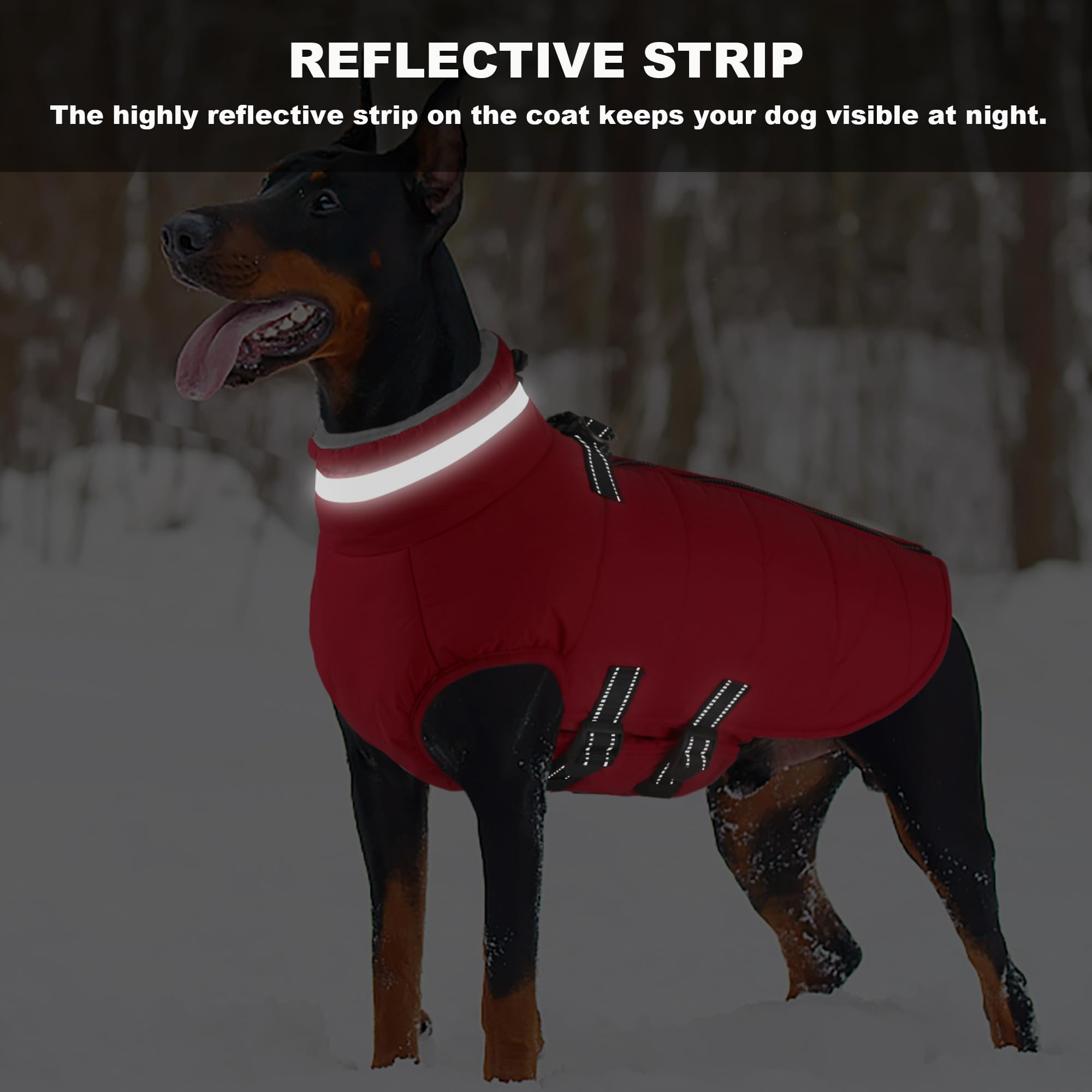 Mklhgty manteau chien petit bandes réfléchissantes pour sécurité nocturne