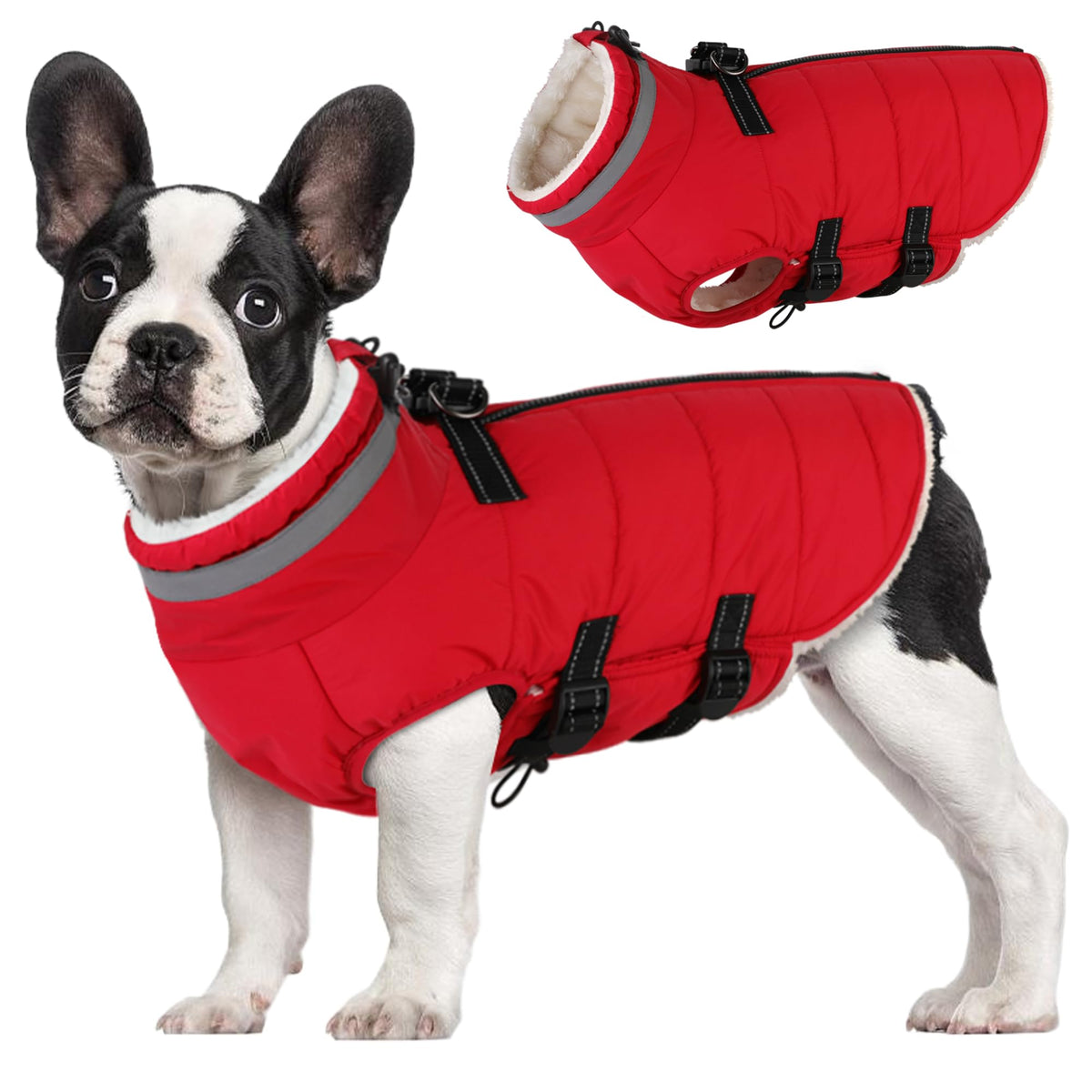 Mklhgty manteau petit chien avec harnais intégré, protège du froid lors des sorties