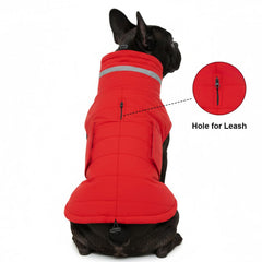 Mklhgty manteau chien reflechissant rouge XL, visibilite nocturne