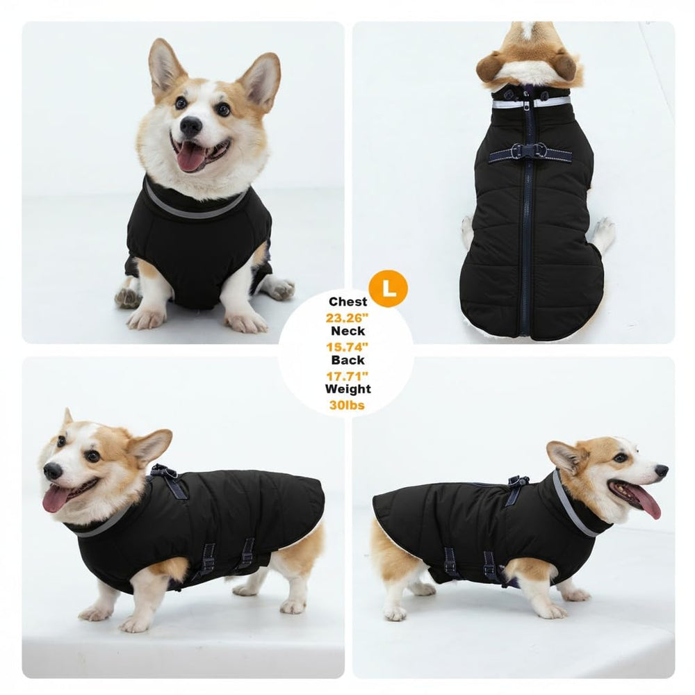 Mklhgty manteau chien taille-2xl convient grands chiens