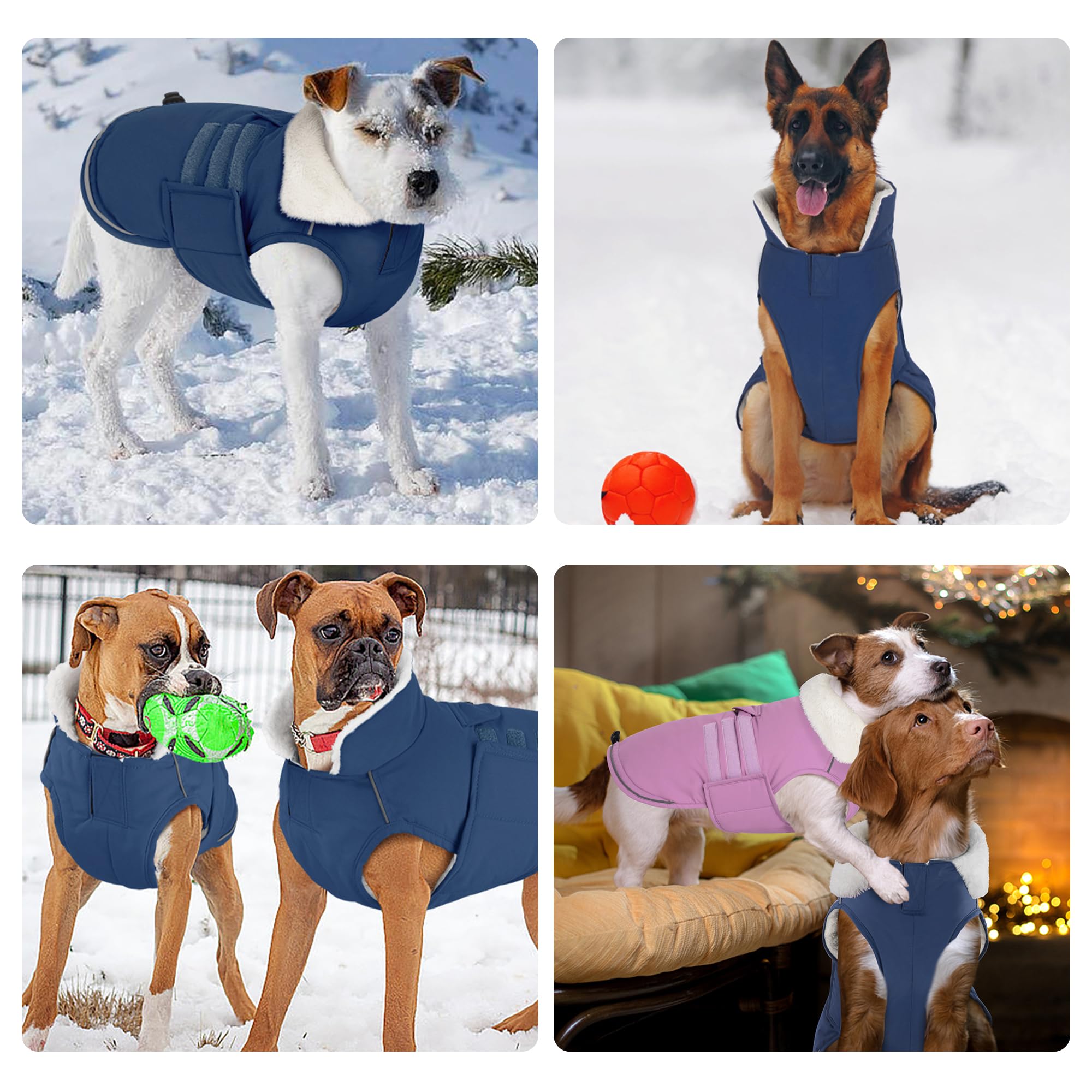 Mklhgty manteau chien taille reglable pour un ajustement sûr.