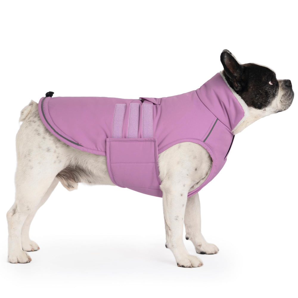 Mklhgty manteau chien usage hiver: idéal pour promenades et jeux hivernaux