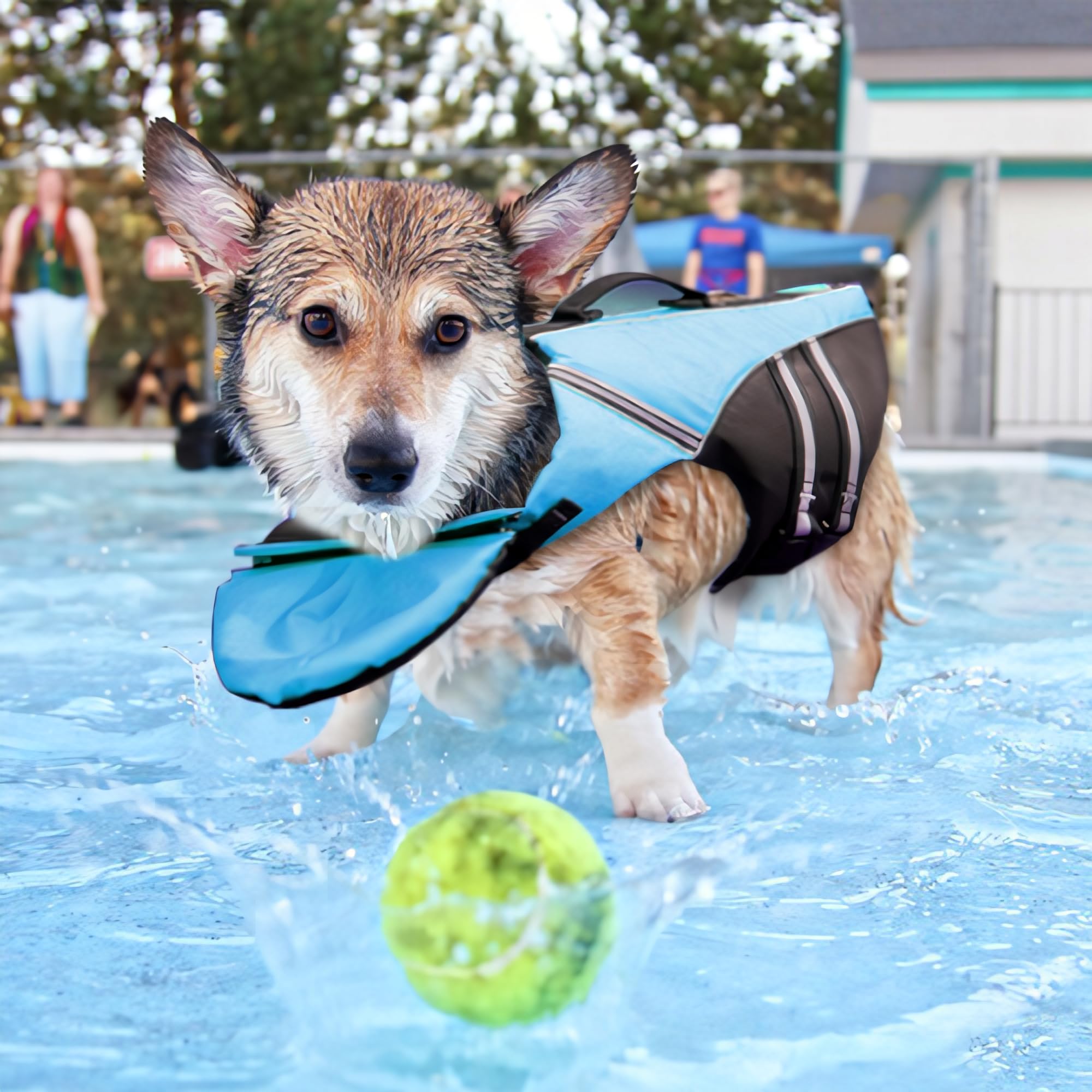 Mklhgty poignee secours gilet chien dessus: faciliter le sauvetage et la manipulation