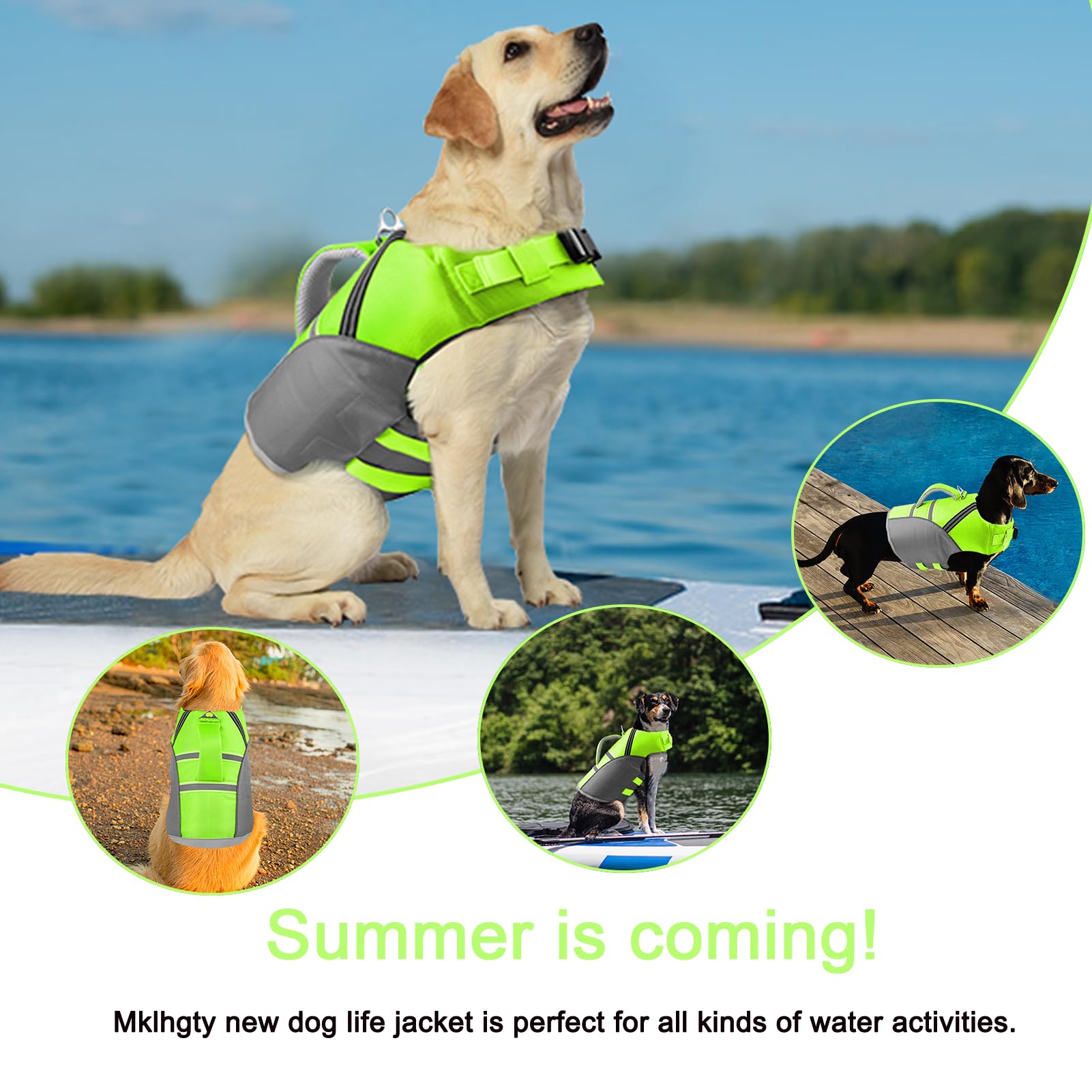 Veste sécurité Mklhgty pour chien à la plage, flottabilité fiable pendant les baignades.