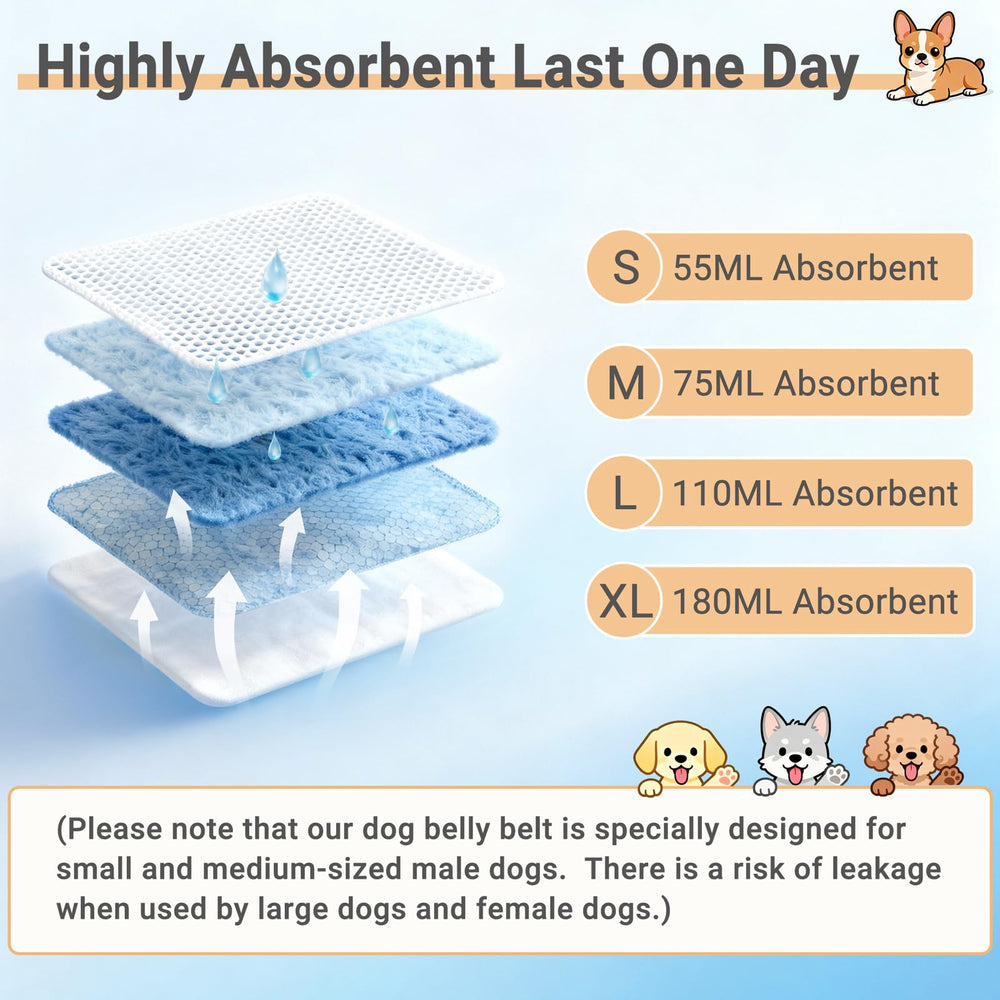 Chien mâle portant bande ventrale Mkono, solution pratique lors des sorties.