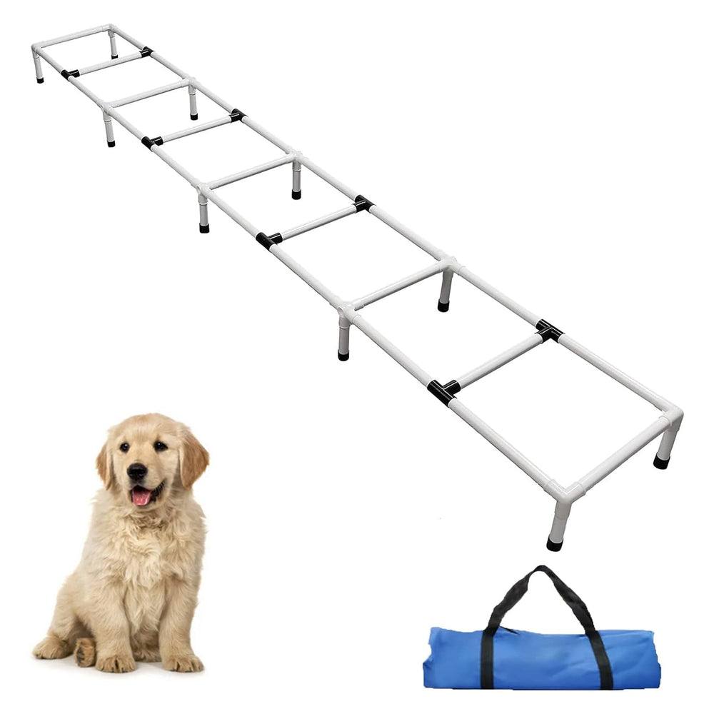 Échelle d’agilité MKSY pour chien, axée sur l’entraînement rapide en extérieur.