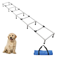 Échelle d’agilité MKSY pour chien, axée sur l’entraînement rapide en extérieur.